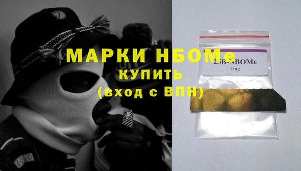 хмурый Алзамай