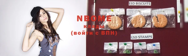 шишки Армянск