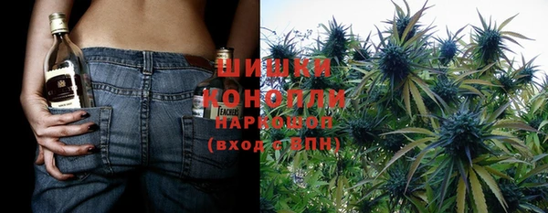 хмурый Алзамай
