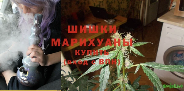 PSILOCYBIN Арсеньев