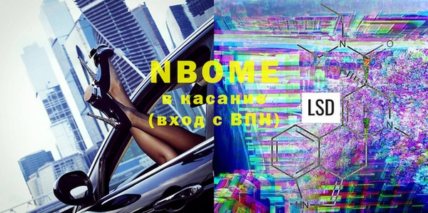 хмурый Алзамай