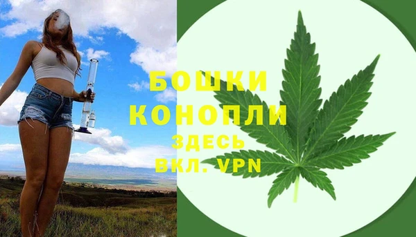 СК Аркадак