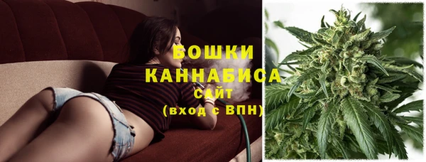 СК Аркадак
