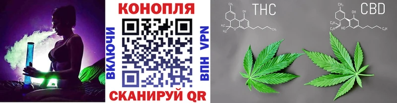 Марихуана сатива  Сибай 